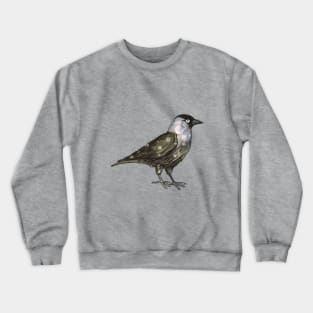 Western jackdaw Crewneck Sweatshirt